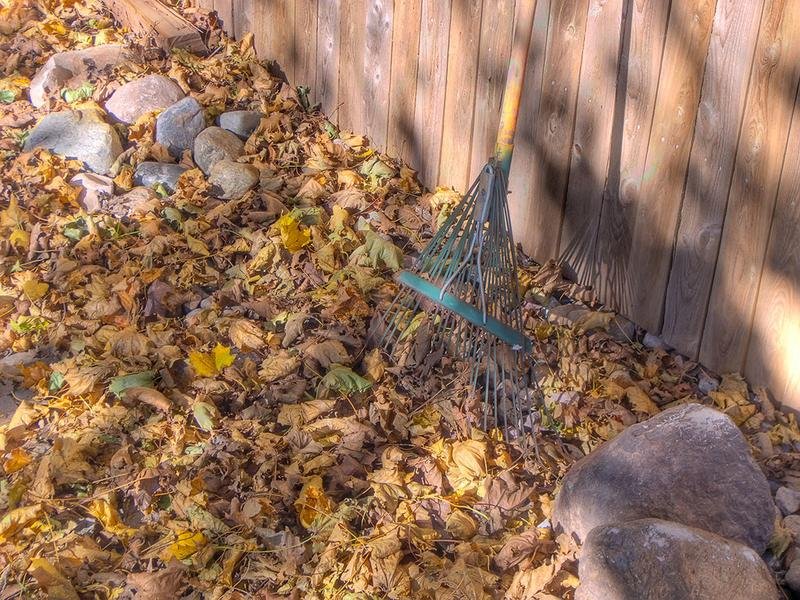Landscape Design in Green Bay
