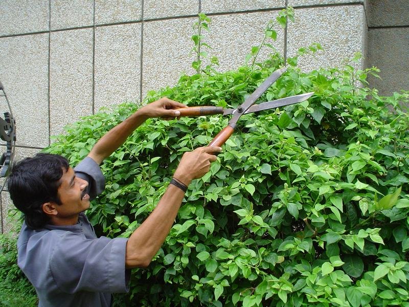 Commercial Landscaping in Green Bay